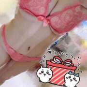 ヒメ日記 2025/08/28 23:29 投稿 収容番号：53番 非自由人躾専門店 淫姦収容所 日本橋本拠地