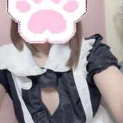 ヒメ日記 2026/04/03 08:49 投稿 収容番号：53番 非自由人躾専門店 淫姦収容所 日本橋本拠地