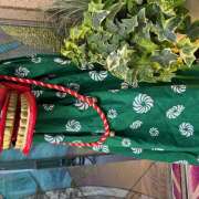 ヒメ日記 2024/12/30 16:50 投稿 里田 熟らぶ