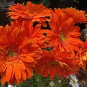 ヒメ日記 2025/04/12 08:47 投稿 里田 熟らぶ