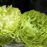 ヒメ日記 2025/05/03 08:46 投稿 里田 熟らぶ