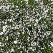 ヒメ日記 2025/05/10 08:59 投稿 里田 熟らぶ