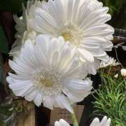 ヒメ日記 2025/07/21 12:44 投稿 里田 熟らぶ