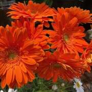 ヒメ日記 2025/08/03 08:35 投稿 里田 熟らぶ