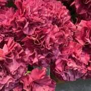 ヒメ日記 2025/10/26 08:39 投稿 里田 熟らぶ