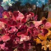 里田 おはようございます☀ 熟らぶ