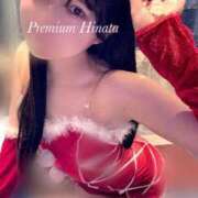 ヒメ日記 2024/12/24 12:10 投稿 Hinata THE PREMIUM （プレミアム）