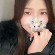 ヒメ日記 2025/12/06 18:39 投稿 Hinata THE PREMIUM （プレミアム）