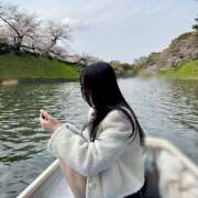 Hinata 出会いの季節🌷🩷 THE PREMIUM （プレミアム）