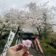 ヒメ日記 2025/04/08 21:38 投稿 あきな 大和人妻城