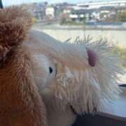 ヒメ日記 2025/09/10 08:50 投稿 あきな 大和人妻城