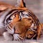 あきな 🚺おやすみ中(⑅•͈૦•͈⑅) 大和人妻城