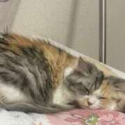 ヒメ日記 2025/02/13 21:44 投稿 みあの マリン宮殿水戸店