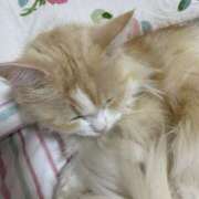 ヒメ日記 2025/02/24 22:34 投稿 みあの マリン宮殿水戸店