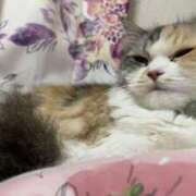 ヒメ日記 2025/04/30 23:04 投稿 みあの マリン宮殿水戸店