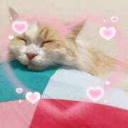 ヒメ日記 2025/06/03 15:25 投稿 みあの マリン宮殿水戸店