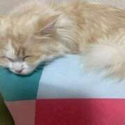 ヒメ日記 2025/07/30 12:44 投稿 みあの マリン宮殿水戸店