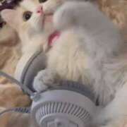 ヒメ日記 2025/07/31 23:34 投稿 みあの マリン宮殿水戸店