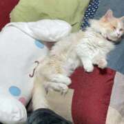 みあの 🌟お知らせ🙇‍♀️🙇‍♀️🙇‍♀️ マリン宮殿水戸店