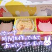 ヒメ日記 2025/02/11 22:38 投稿 ラン ドMなバニーちゃん大宮店