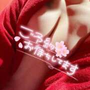 ヒメ日記 2025/09/22 08:52 投稿 ラン ドMなバニーちゃん大宮店