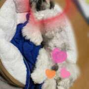 ヒメ日記 2026/03/30 21:45 投稿 ラン ドMなバニーちゃん大宮店