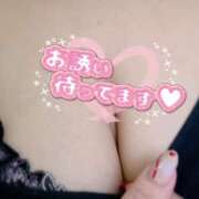 ヒメ日記 2025/02/06 17:02 投稿 はる ちゃんこ藤沢茅ヶ崎店