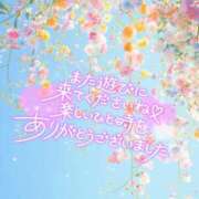 ヒメ日記 2025/04/13 07:02 投稿 はる ちゃんこ藤沢茅ヶ崎店