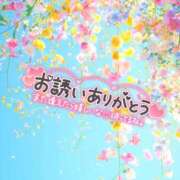 ヒメ日記 2025/04/20 06:02 投稿 はる ちゃんこ藤沢茅ヶ崎店