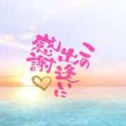 ヒメ日記 2025/12/30 11:22 投稿 はる ちゃんこ藤沢茅ヶ崎店