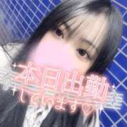 ヒメ日記 2026/02/03 16:52 投稿 はる ちゃんこ藤沢茅ヶ崎店