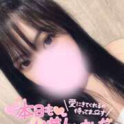 ヒメ日記 2026/03/24 16:32 投稿 はる ちゃんこ藤沢茅ヶ崎店