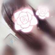 ヒメ日記 2025/05/19 15:04 投稿 みぞれ アリスカフェ