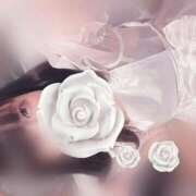 ヒメ日記 2025/05/26 15:38 投稿 みぞれ アリスカフェ