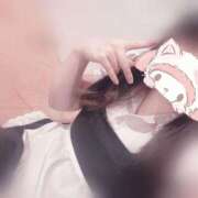 ヒメ日記 2025/06/04 15:25 投稿 みぞれ アリスカフェ