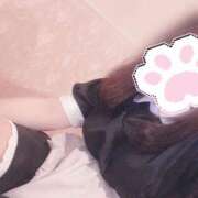 ヒメ日記 2025/07/06 12:01 投稿 みぞれ アリスカフェ