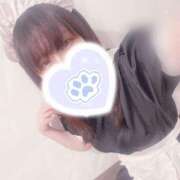 ヒメ日記 2025/07/19 21:41 投稿 みぞれ アリスカフェ