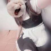 ヒメ日記 2025/07/25 15:02 投稿 みぞれ アリスカフェ