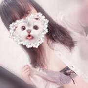 ヒメ日記 2025/08/19 18:58 投稿 みぞれ アリスカフェ