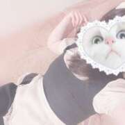 ヒメ日記 2025/09/03 11:37 投稿 みぞれ アリスカフェ