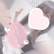 ヒメ日記 2025/09/04 14:50 投稿 みぞれ アリスカフェ