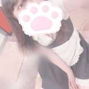 ヒメ日記 2025/09/08 11:30 投稿 みぞれ アリスカフェ