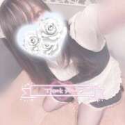 ヒメ日記 2025/09/09 12:01 投稿 みぞれ アリスカフェ