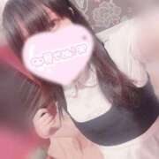 ヒメ日記 2025/09/09 16:03 投稿 みぞれ アリスカフェ