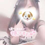 ヒメ日記 2025/09/11 22:00 投稿 みぞれ アリスカフェ