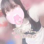 ヒメ日記 2025/09/13 15:07 投稿 みぞれ アリスカフェ