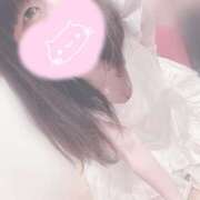 ヒメ日記 2025/09/14 11:24 投稿 みぞれ アリスカフェ