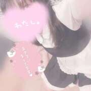 ヒメ日記 2025/09/15 15:08 投稿 みぞれ アリスカフェ