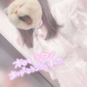 ヒメ日記 2025/09/15 21:45 投稿 みぞれ アリスカフェ