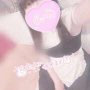 ヒメ日記 2025/09/16 10:19 投稿 みぞれ アリスカフェ